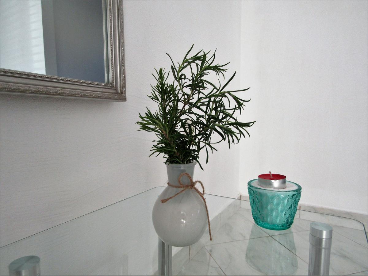 וודיצה Apartments Kokor מראה חיצוני תמונה