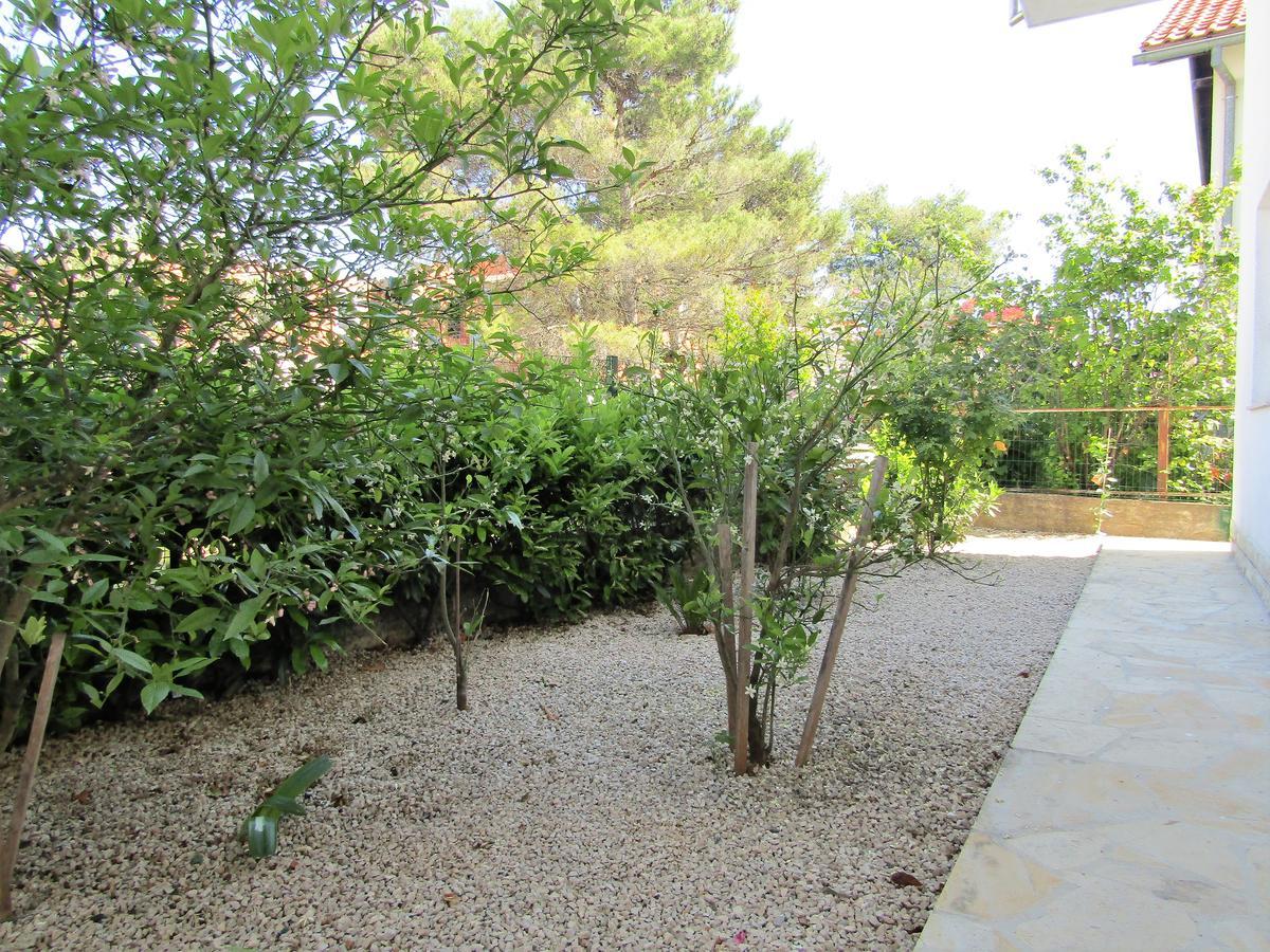 וודיצה Apartments Kokor מראה חיצוני תמונה